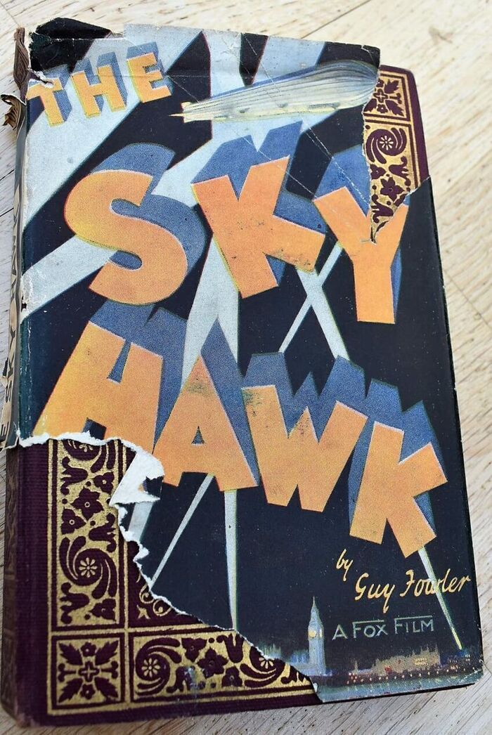 Sky Hawk Image