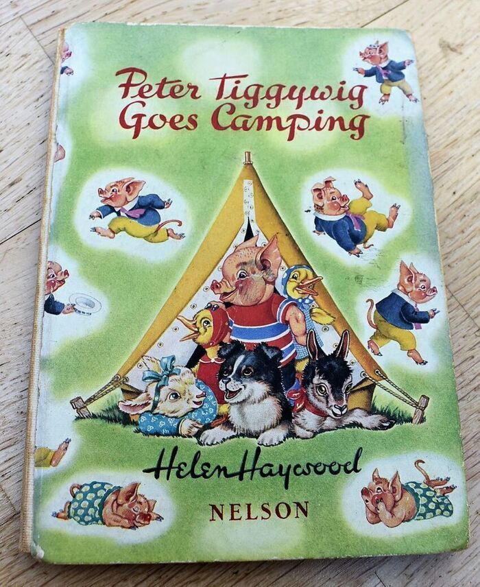 Peter Tiggywig Goes Camping Image