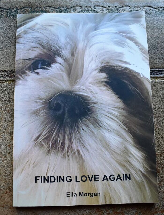Finding Love Again [SIGNED] Image