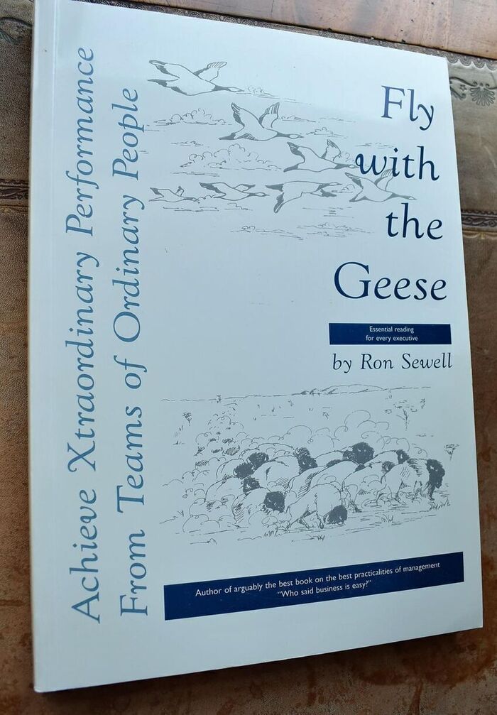 FLY WITH THE GEESE Achieve xtraordinary performance from teams of ordinary people Image