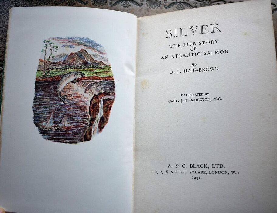SILVER The Life Story Of An Atlantic Salmon Image