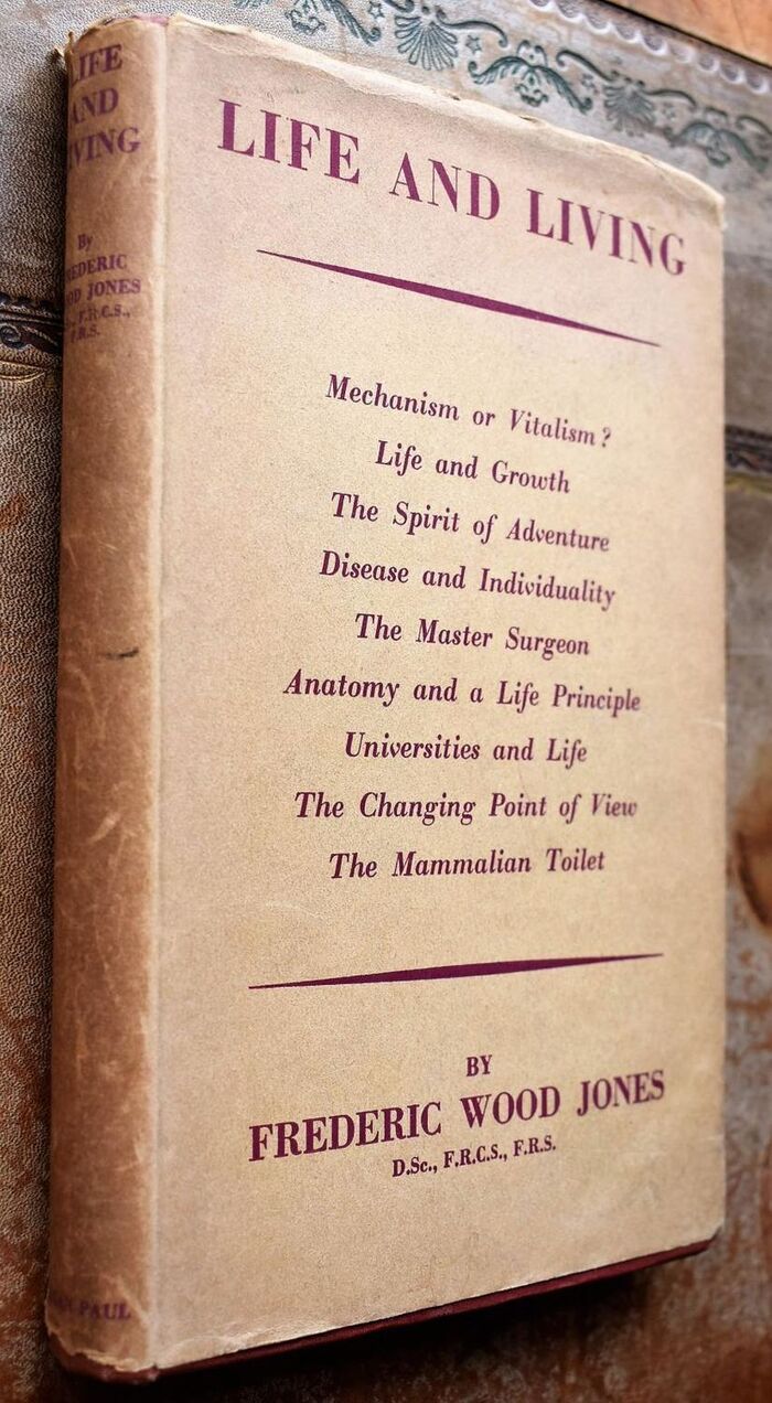 Life And Living Image