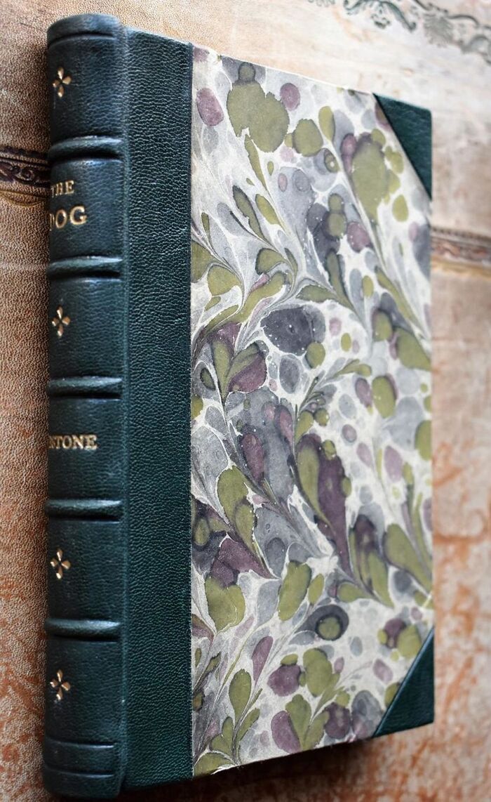 THE DOG; With Simple Directions For His Treatment, And Notices Of The Best Dogs Of The Day And Their Breeders Or Exhibitors Image