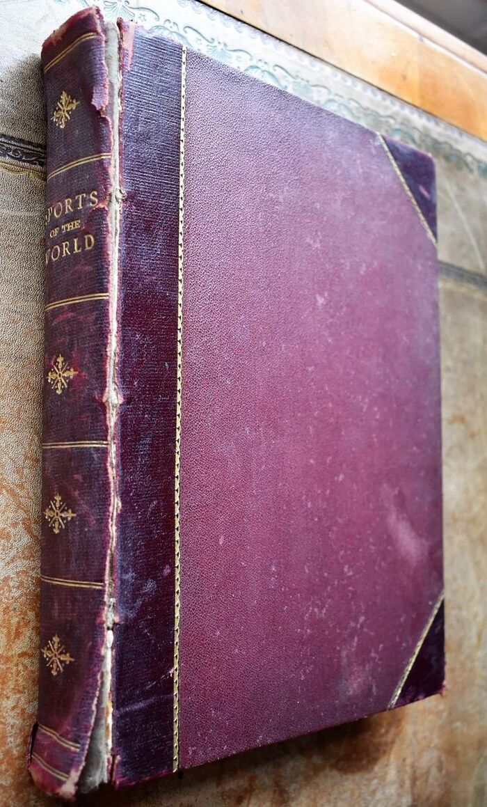 The Sports Of The World Image