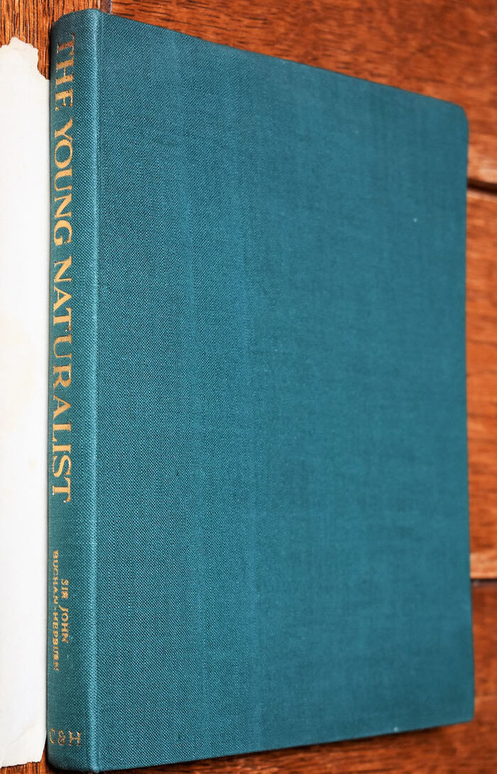 The Young Naturalist Image