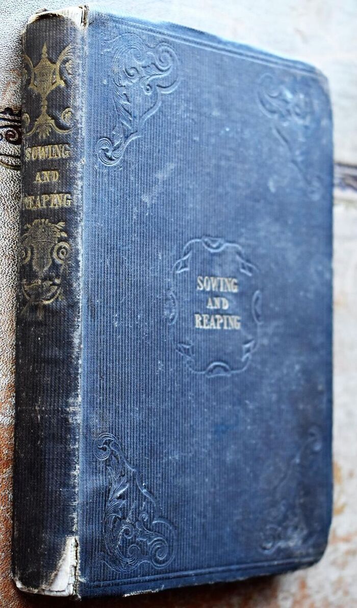 SOWING AND REAPING; Or, What Will Come Of It Image