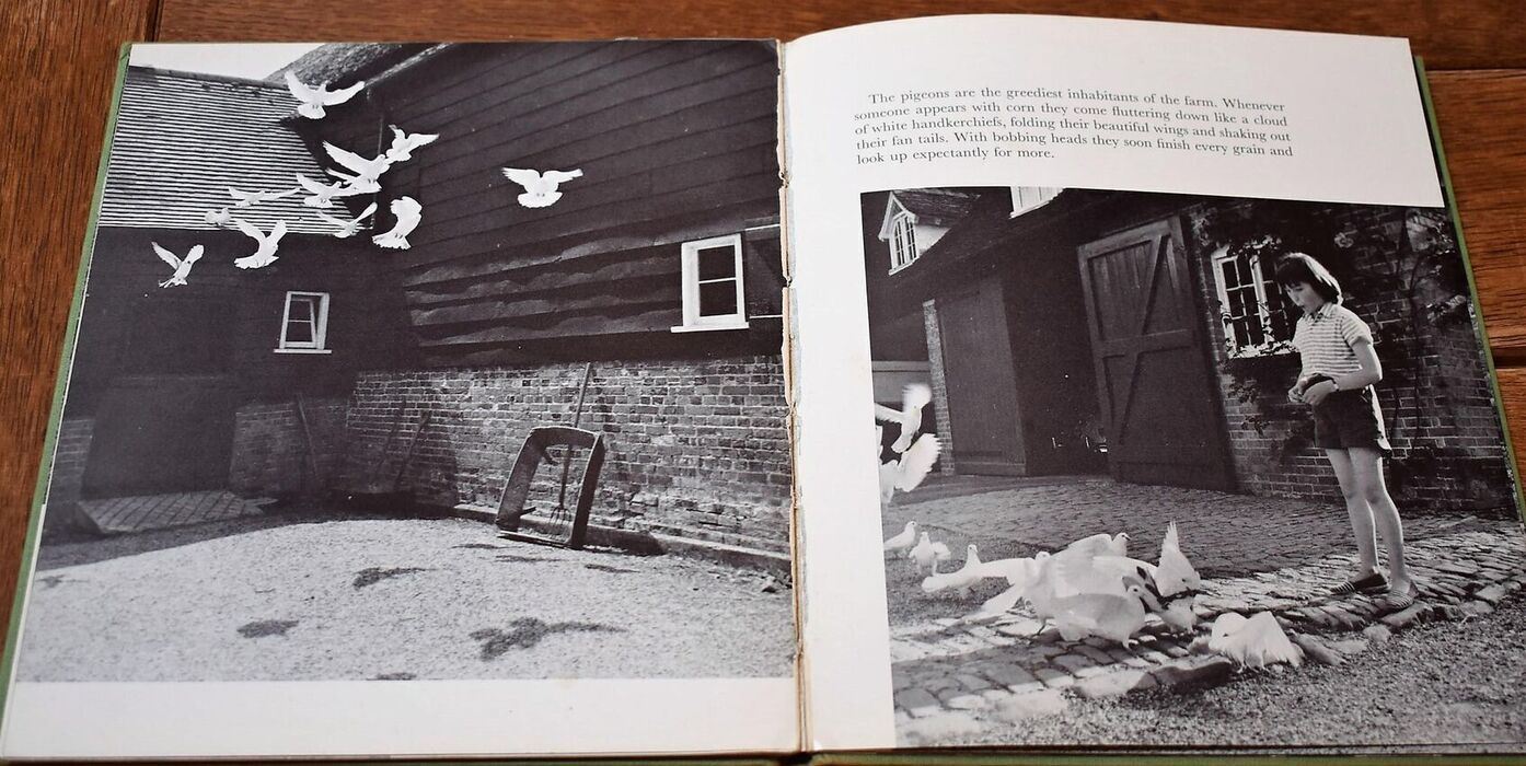 Florian's Farmyard Image