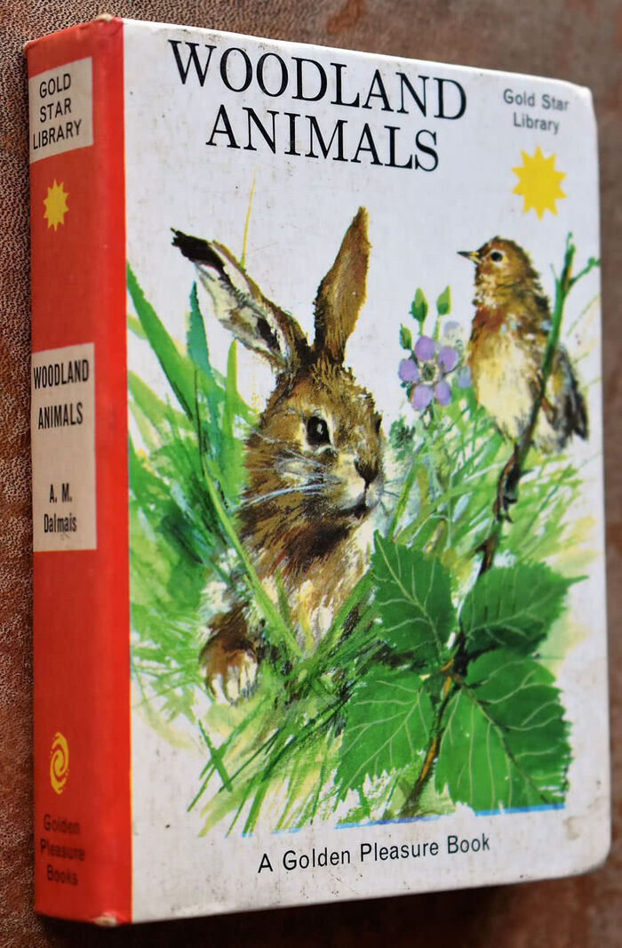 Woodland Animals Image