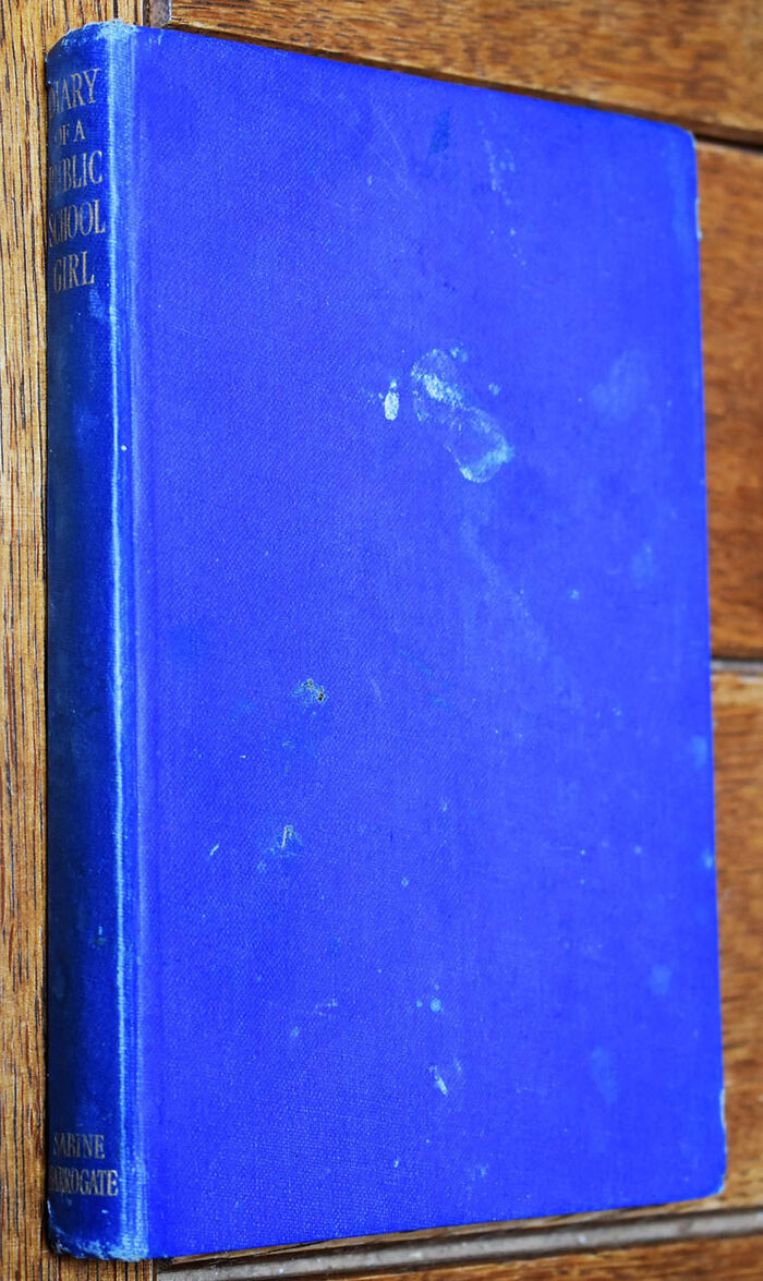 THE DIARY OF A PUBLIC SCHOOL GIRL And Other Documents Image