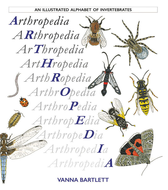 Arthropedia: an illustrated alphabet of invertebrates Image