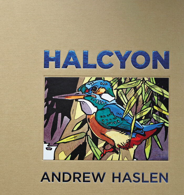 Halcyon Image