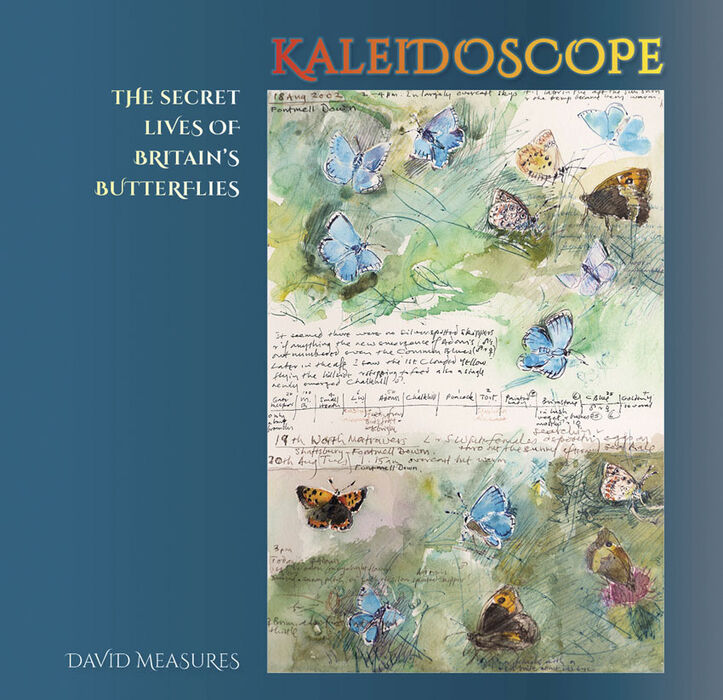 Kaleidoscope: the secret lives of Britain's butterflies Image