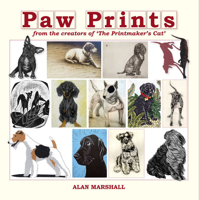 Paw Prints Image