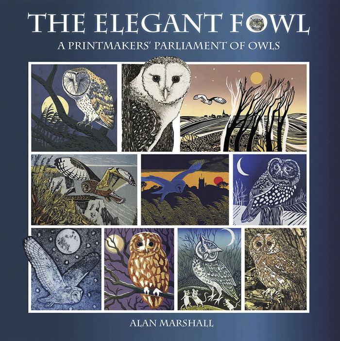 The Elegant Fowl: a printmakers' parliament of owls Image