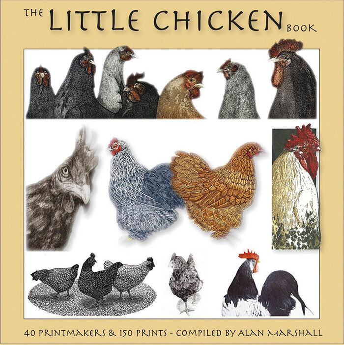 The Little Chicken Book Image