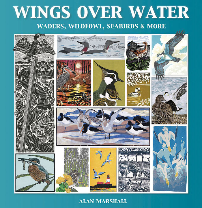 Wings Over Water: waders, wildfowl, seabirds & more Image