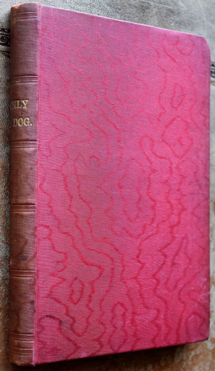 ONLY A DOG A Story Image