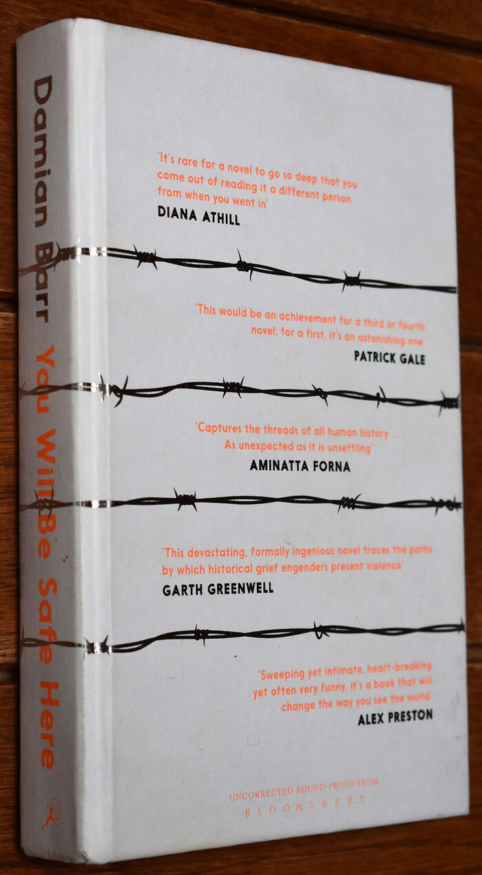 You Will Be Safe Here [Signed, Limited Edition Proof] Image