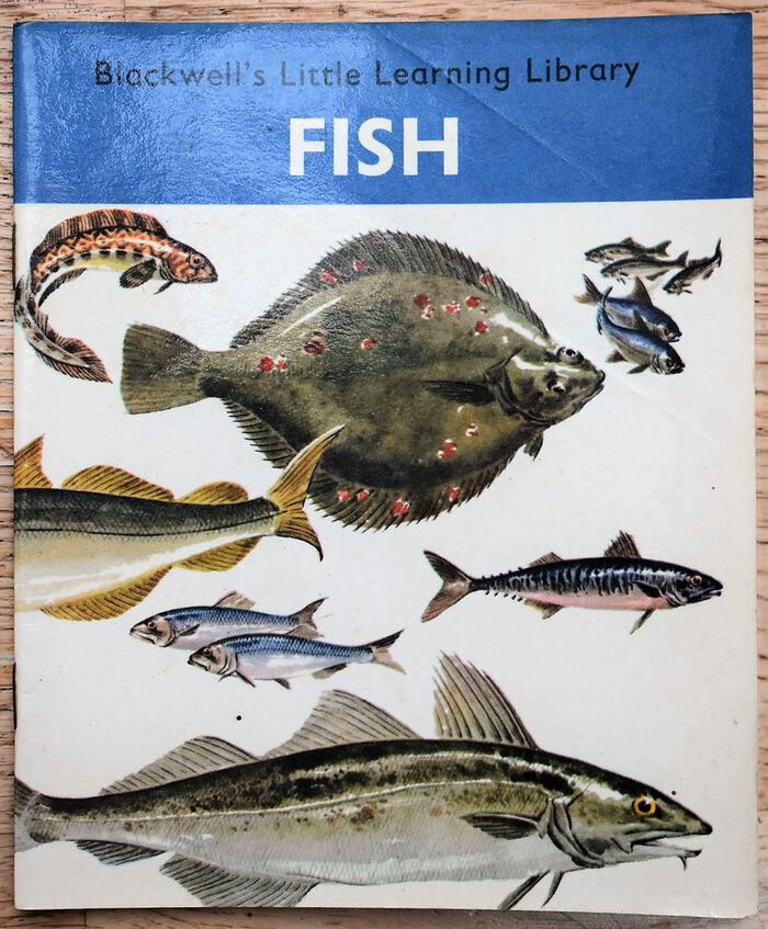 Fish (Blackwell's Little Learning Library) Image