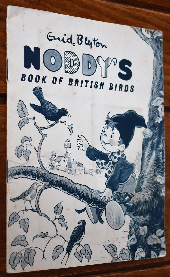 Noddy's Book Of British Birds Image