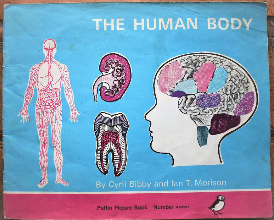 The Human Body (Puffin Picture Book 102) Image