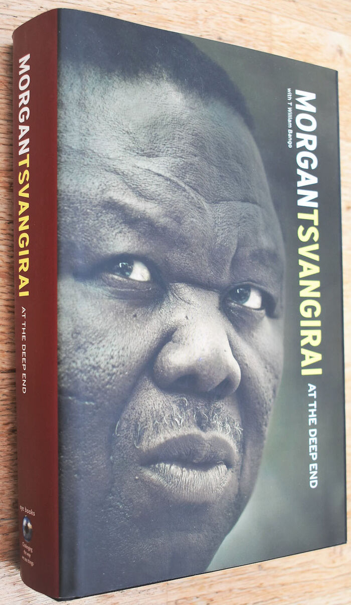 Morgan Tsvangirai: AT THE DEEP END Image