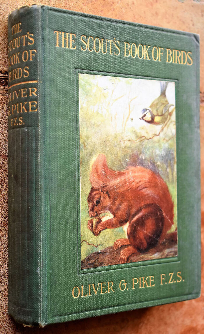 The Scout's Book Of Birds Image