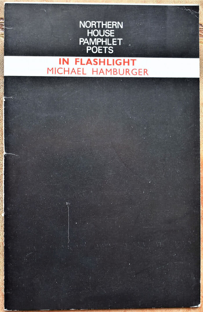 In Flashlight Image