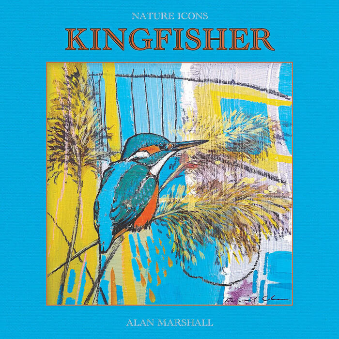 Kingfisher Image