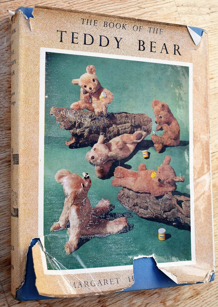 The Book Of The Teddy Bear Image