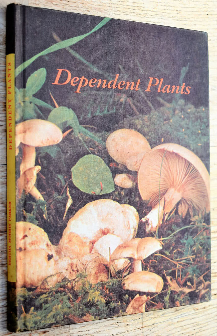 Dependent Plants Image