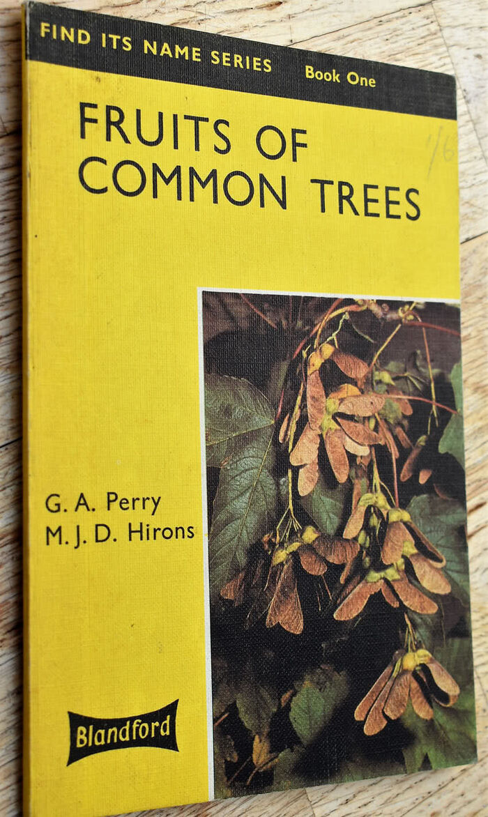 Fruits Of Common Trees Image