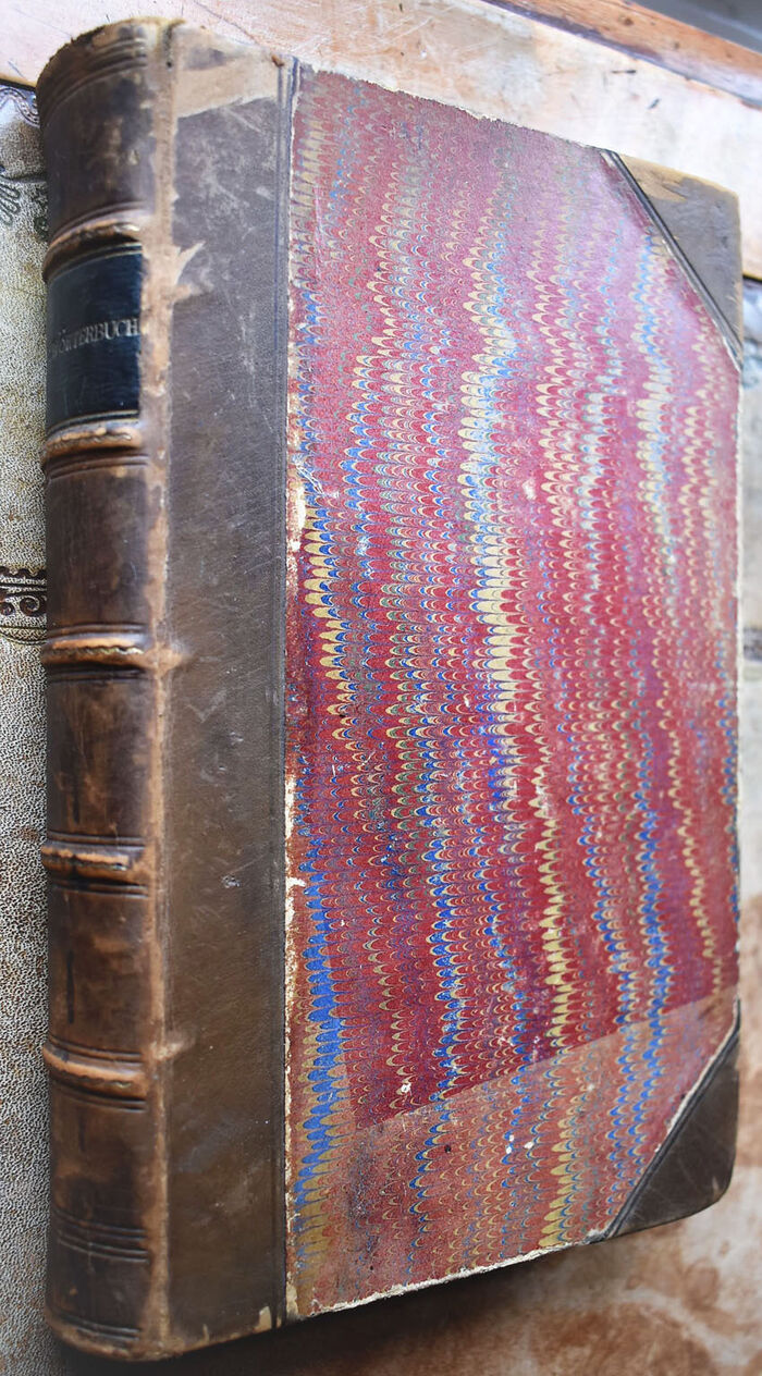 Allgemeines verdeutschendes und erklärendes Fremdwörterbuch mit Bezeichnung der Aussprache und Betonung der Wörter und genauer Angabe ihrer Abstammung und Bildung Image