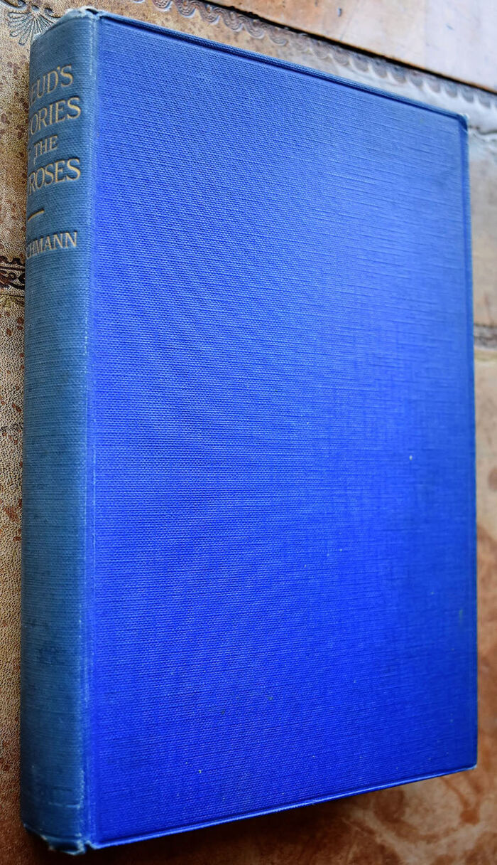 Freud's Theories Of The Neuroses Image