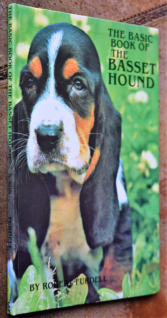 The Basic Book Of The Basset Hound Image