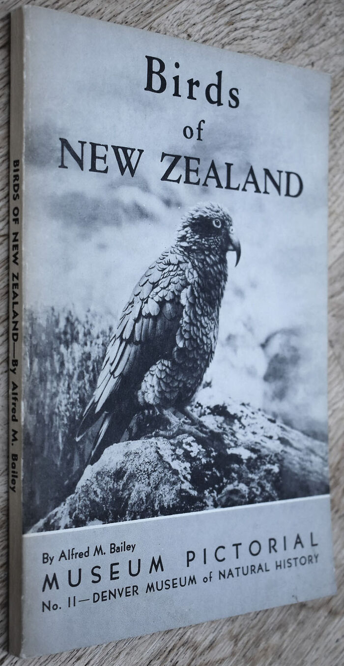 Birds Of New Zealand Image