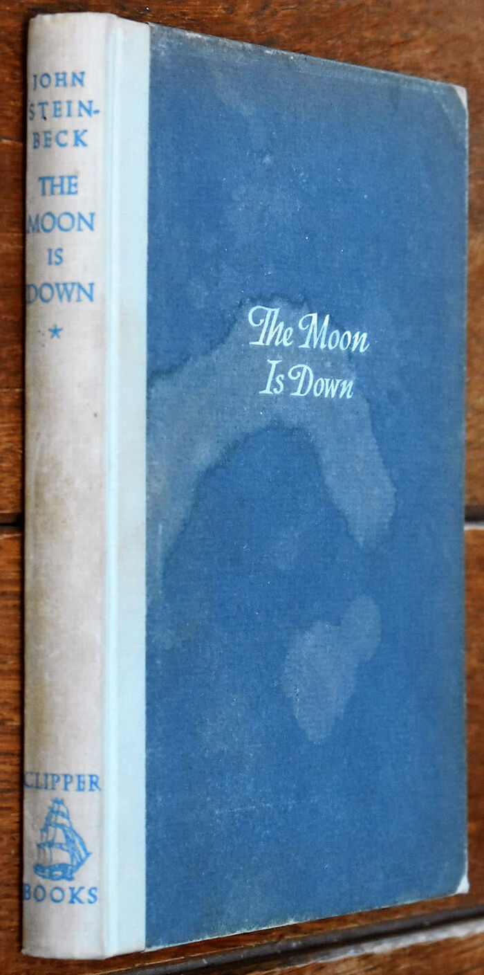 The Moon Is Down Image