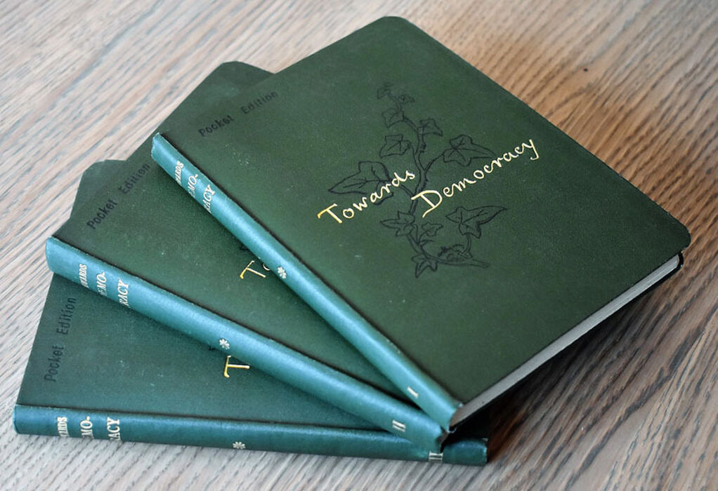 Towards Democracy [complete in 3 vols] Image