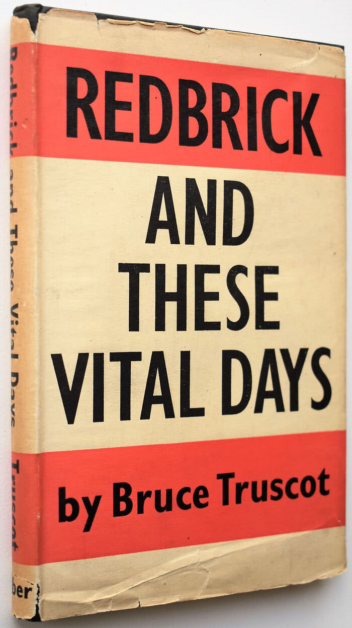 Redbrick And These Vital Days Image