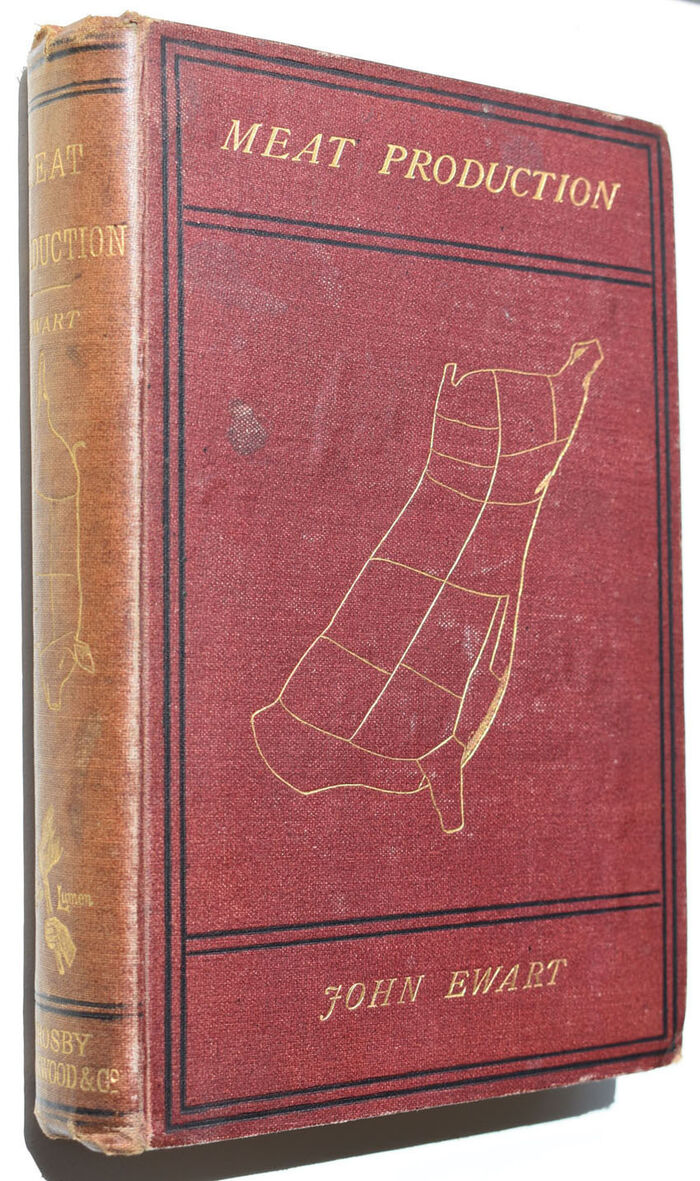 Meat Production Image