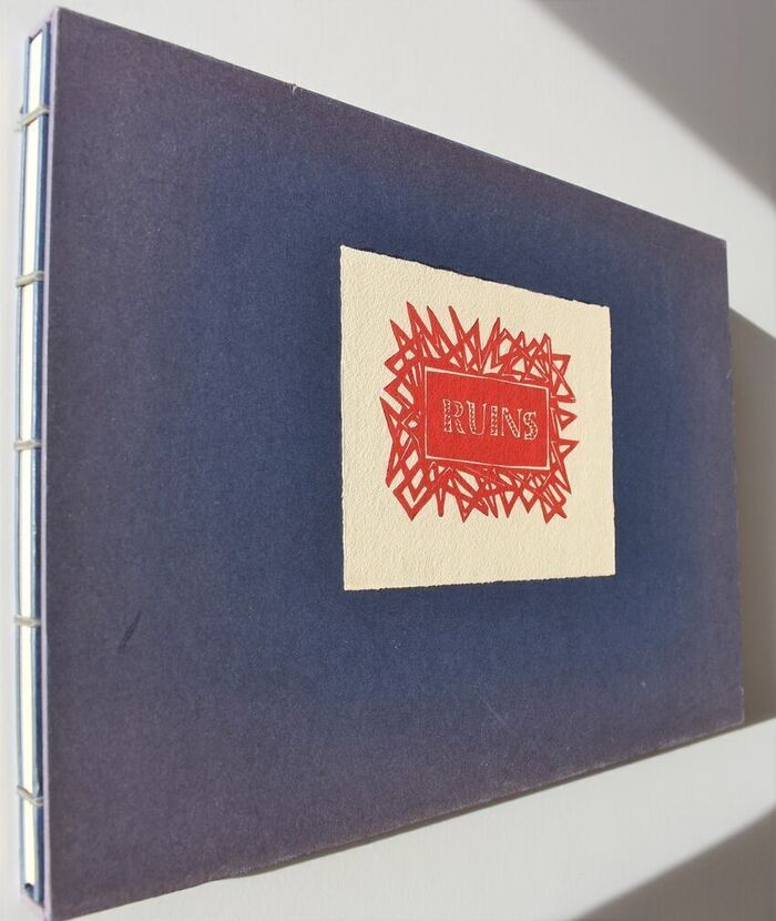 RUINS A Picture Anthology Of Human Genius, Aggression, Neglect And Folly [SIGNED] Image