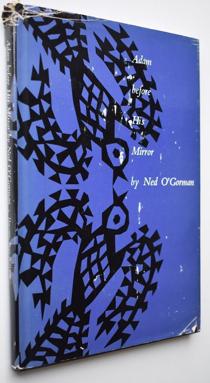 Adam Before His Mirror Image