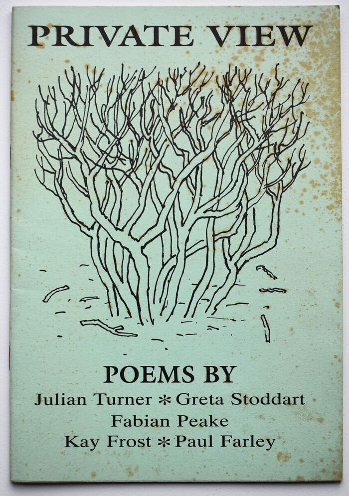 PRIVATE VIEW Poems Image