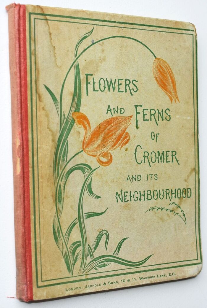 Flowers And Ferns Of Cromer And Its Neighbourhood Image