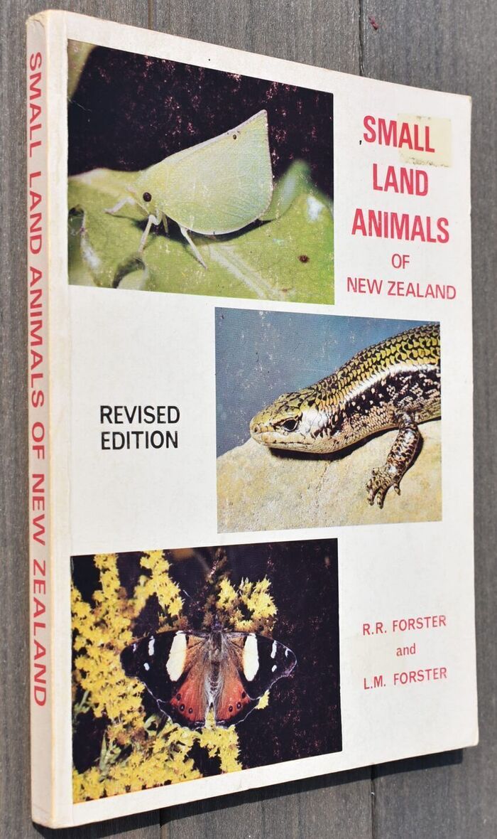 Small Land Animals Of New Zealand Image