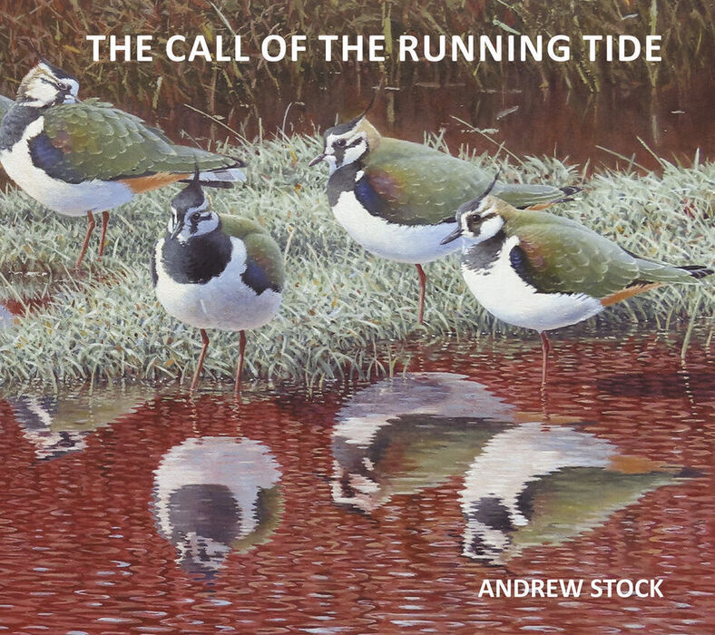 THE CALL OF THE RUNNING TIDE An Artist's Odyssey Across Four Continents Image