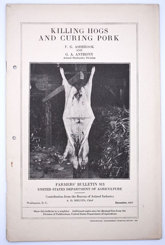 Killing Hogs And Curing Pork Image