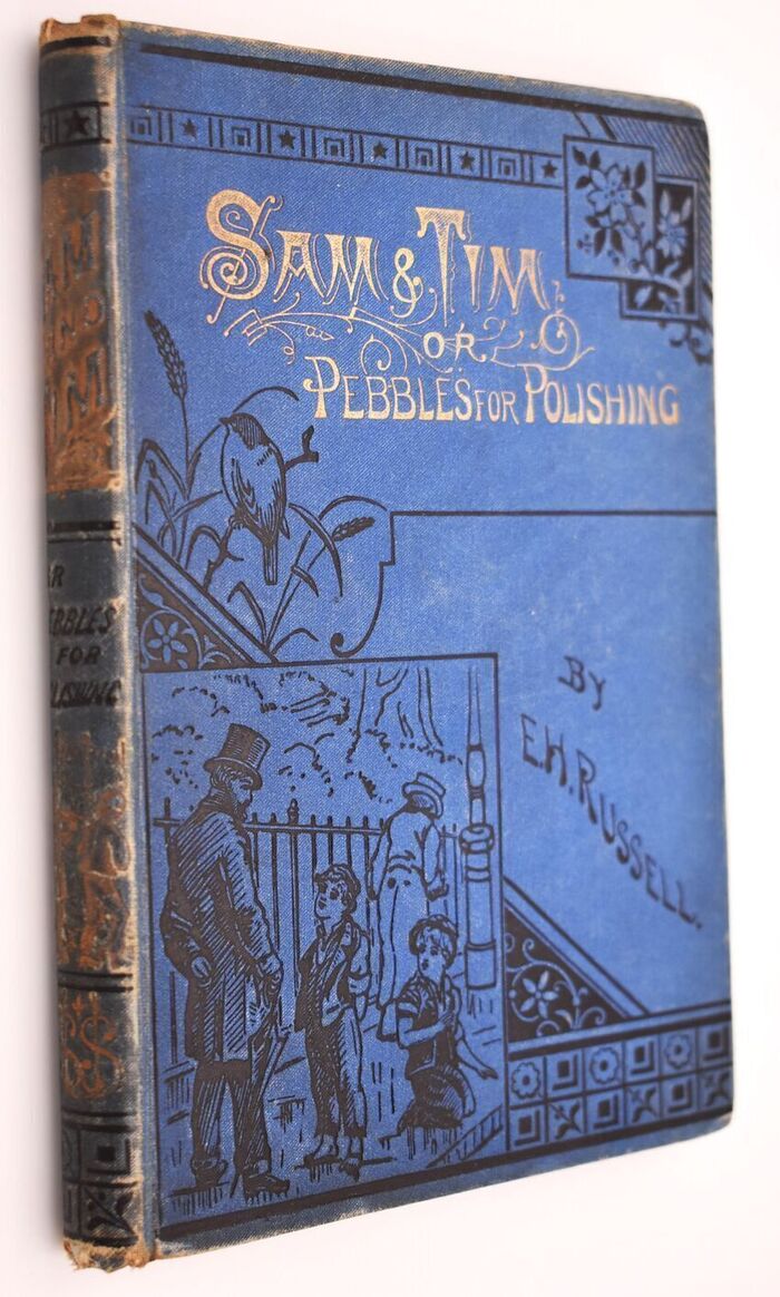 SAM AND TIM; Or, Pebbles For Polishing Image