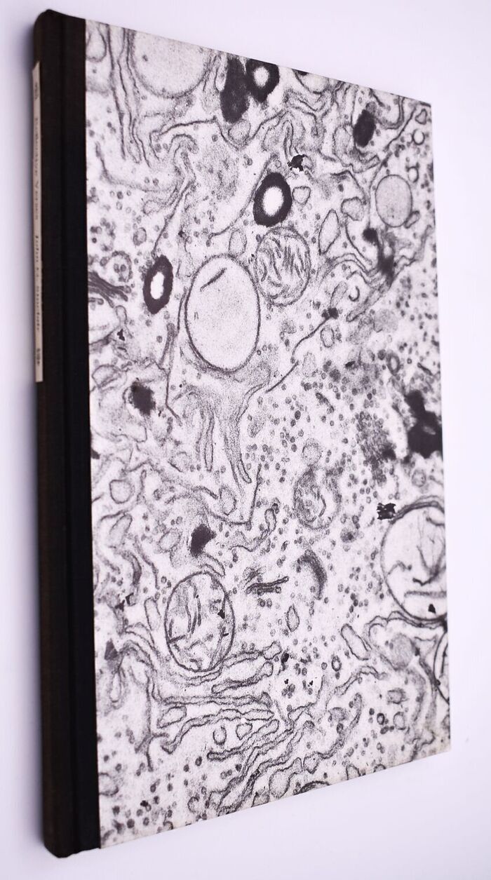 Reflective Verses Image