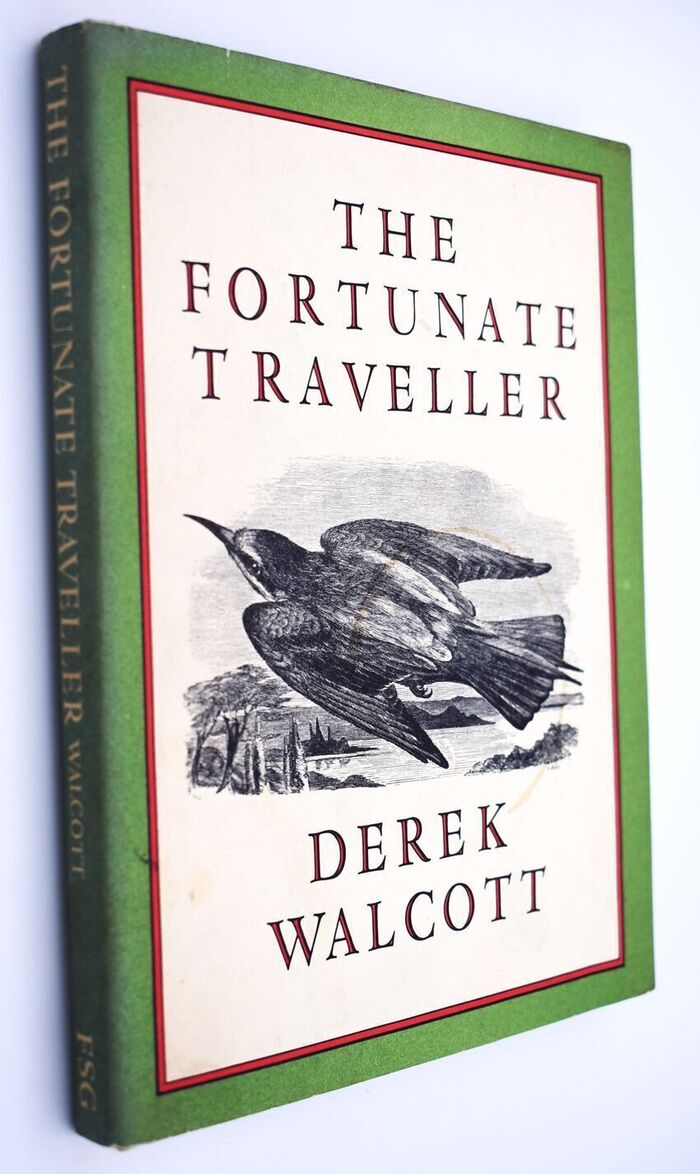 The Fortunate Traveller Image